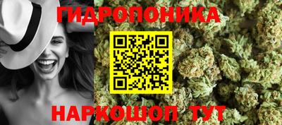 амф Донецк