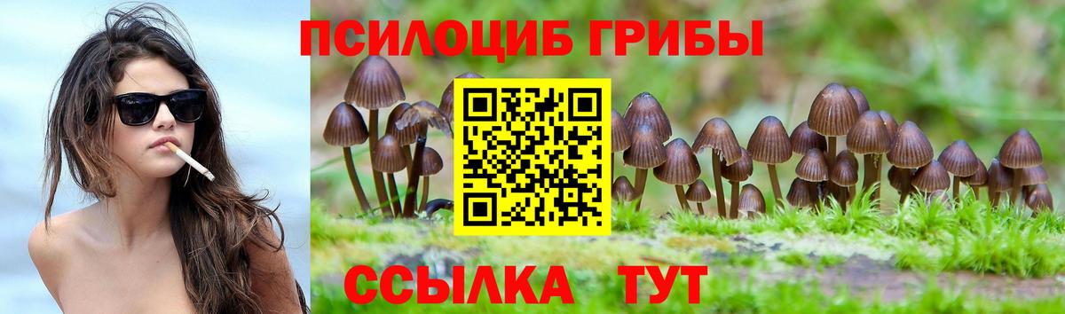 Луга  Псилоцибиновые грибы прущие грибы  Вход с VPN  Галлюциногенные грибы ЛСД 